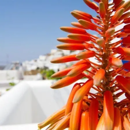 Ios Resort Hotel Chora (Ios)